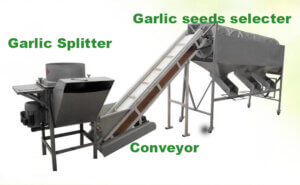 Automatic Garlic Splitting and Sorting Machines - Agro Machine Manufacturer