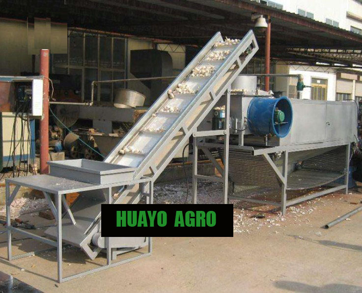 Automatic Garlic Splitting and Sorting Machines - Agro Machine Manufacturer